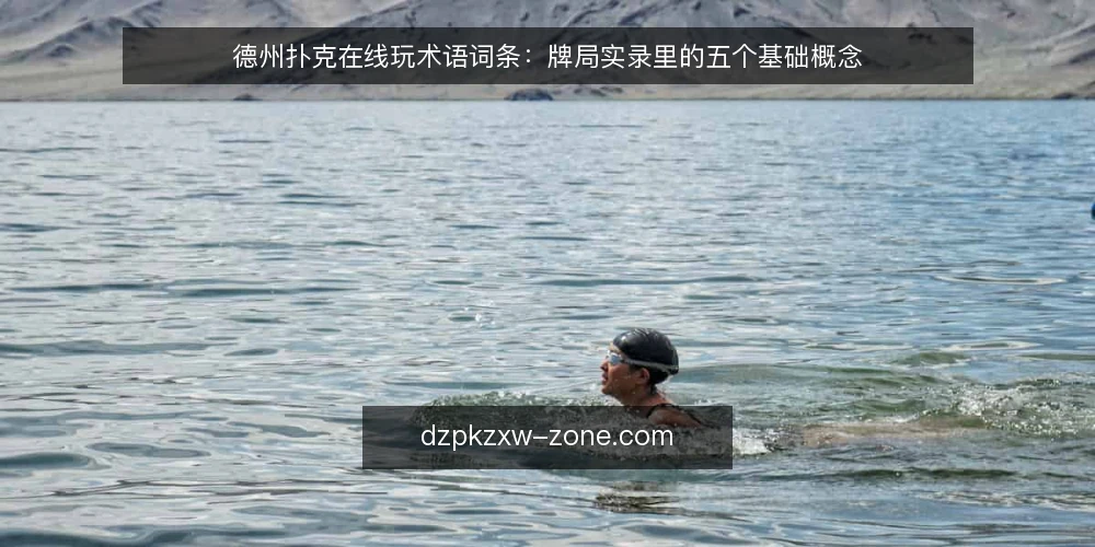 德州扑克在线玩术语词条：牌局实录里的五个基础概念 — 术语一：牌局实录是指什么 配图